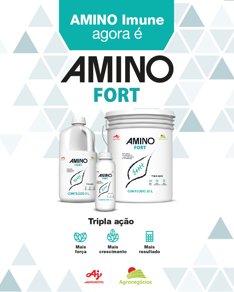 Amino Fort